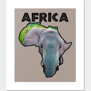 Africa Wildlife Continent Elephant Bull Posters and Art